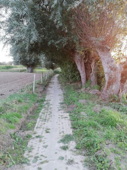 Kruisem Komo Hill Stays - Guestroom Komo Cosy מראה חיצוני תמונה